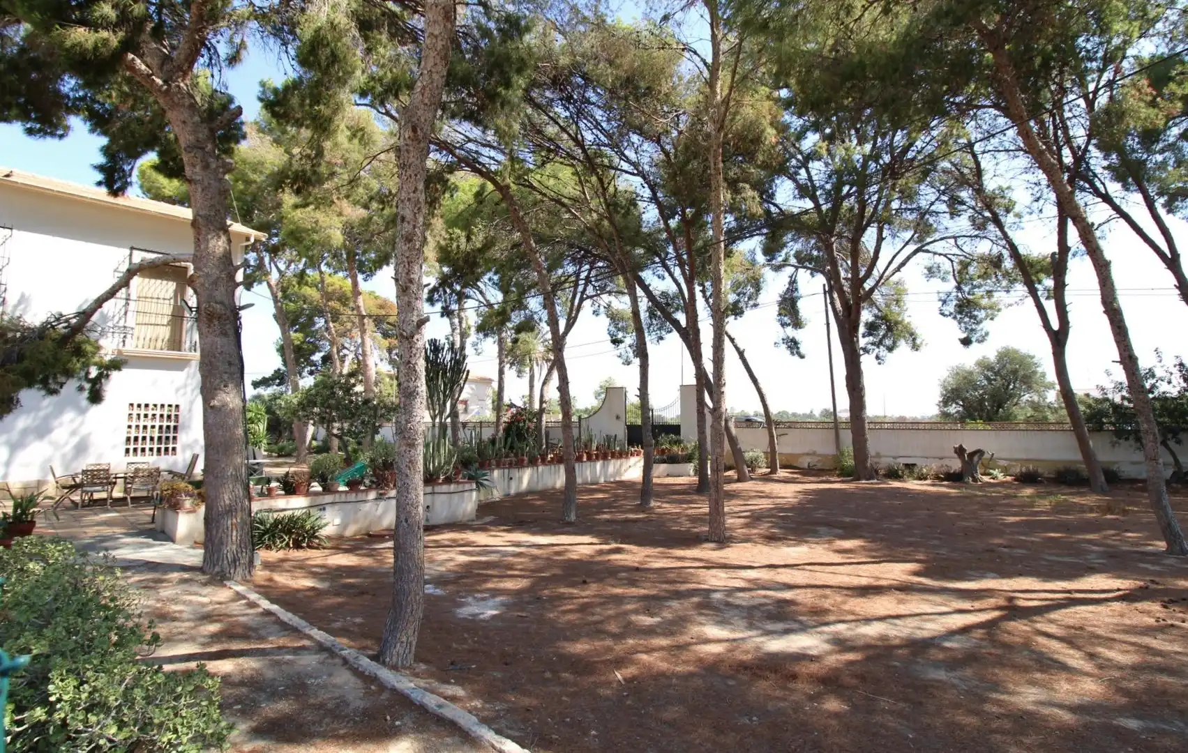 Garden of Houses for rent in Sant Joan d'Alacant  with Private garden, Terrace and Swimming Pool