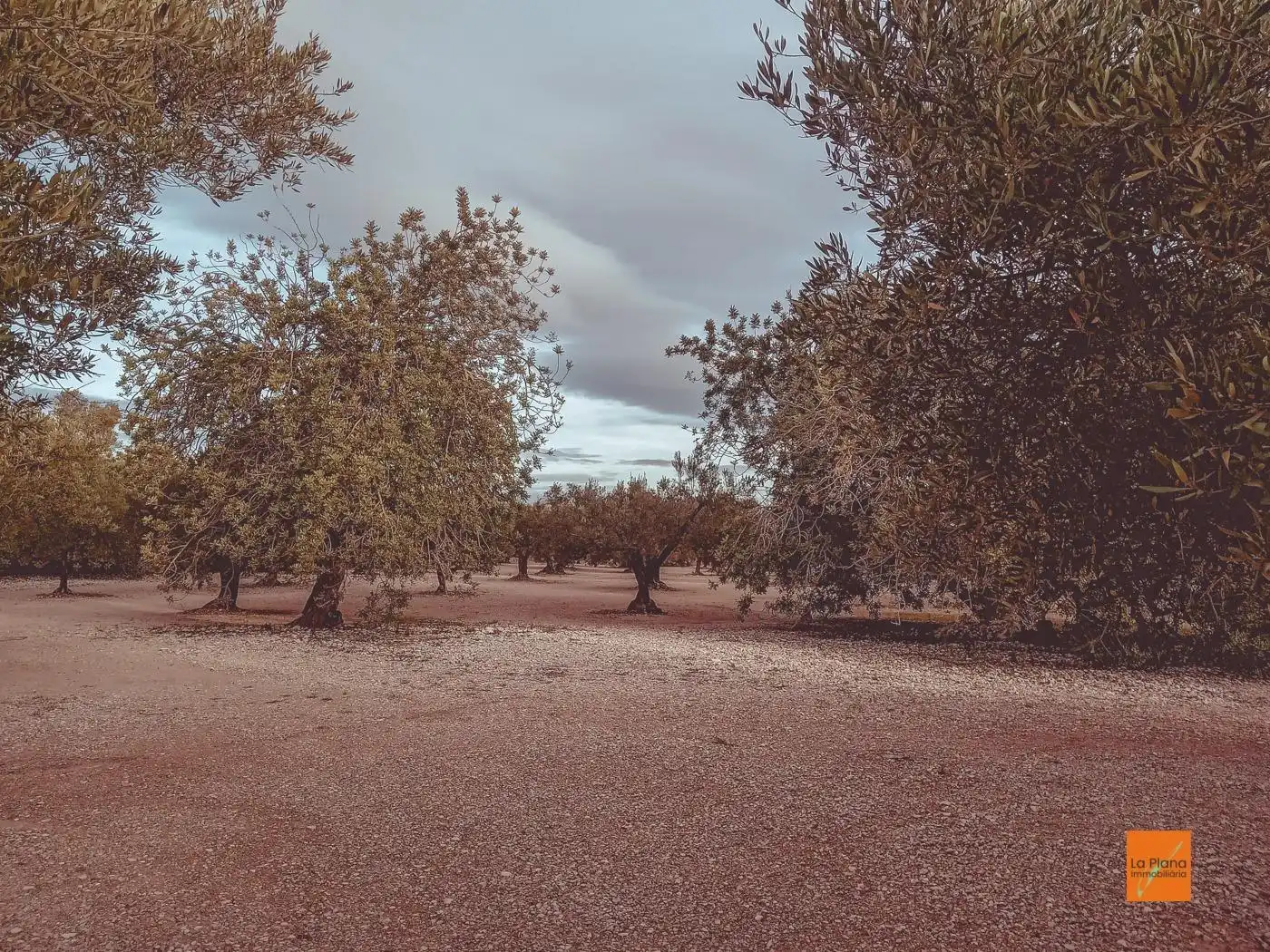 Finca rústica en venta en Santa Bàrbara
