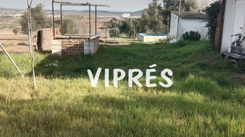 Foto 5 de Finca rústica en venta en Oeste, Mérida