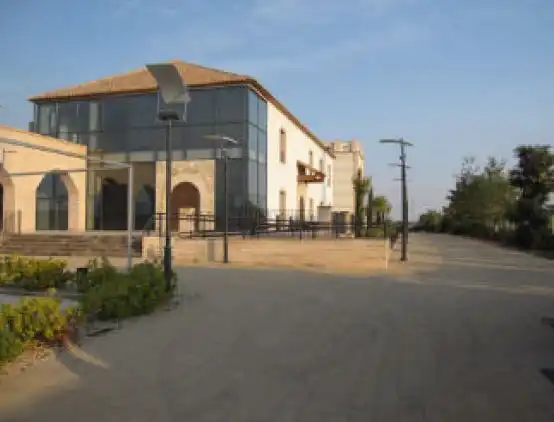 Exterior view of Buildings for sale in Almansa