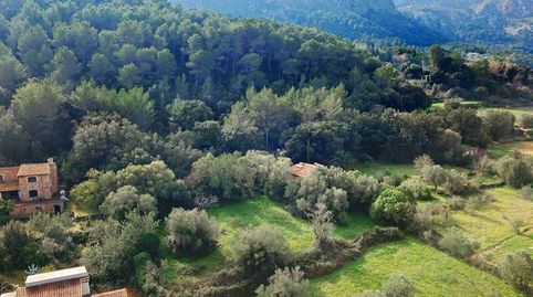 Foto 2 de Finca rústica en venta en Pollença Poble, Pollença