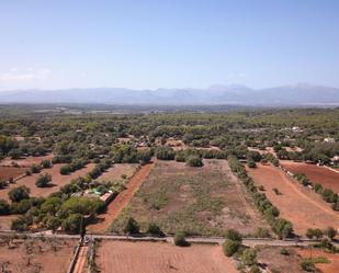 Land for sale in Algaida