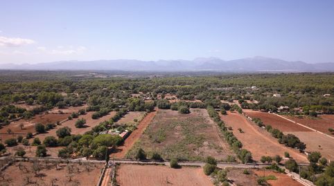 Terreno en venta de 22.000 m2 en Algaida