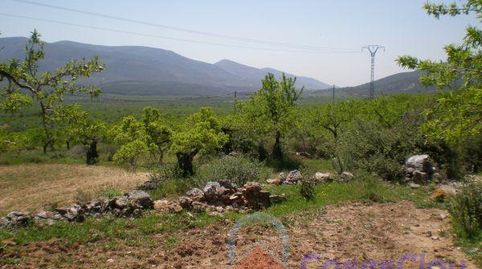 CullaFinca Rustica