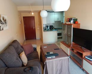 Sala d'estar de Apartament de lloguer en Badajoz Capital amb Aire condicionat, Calefacció i Moblat