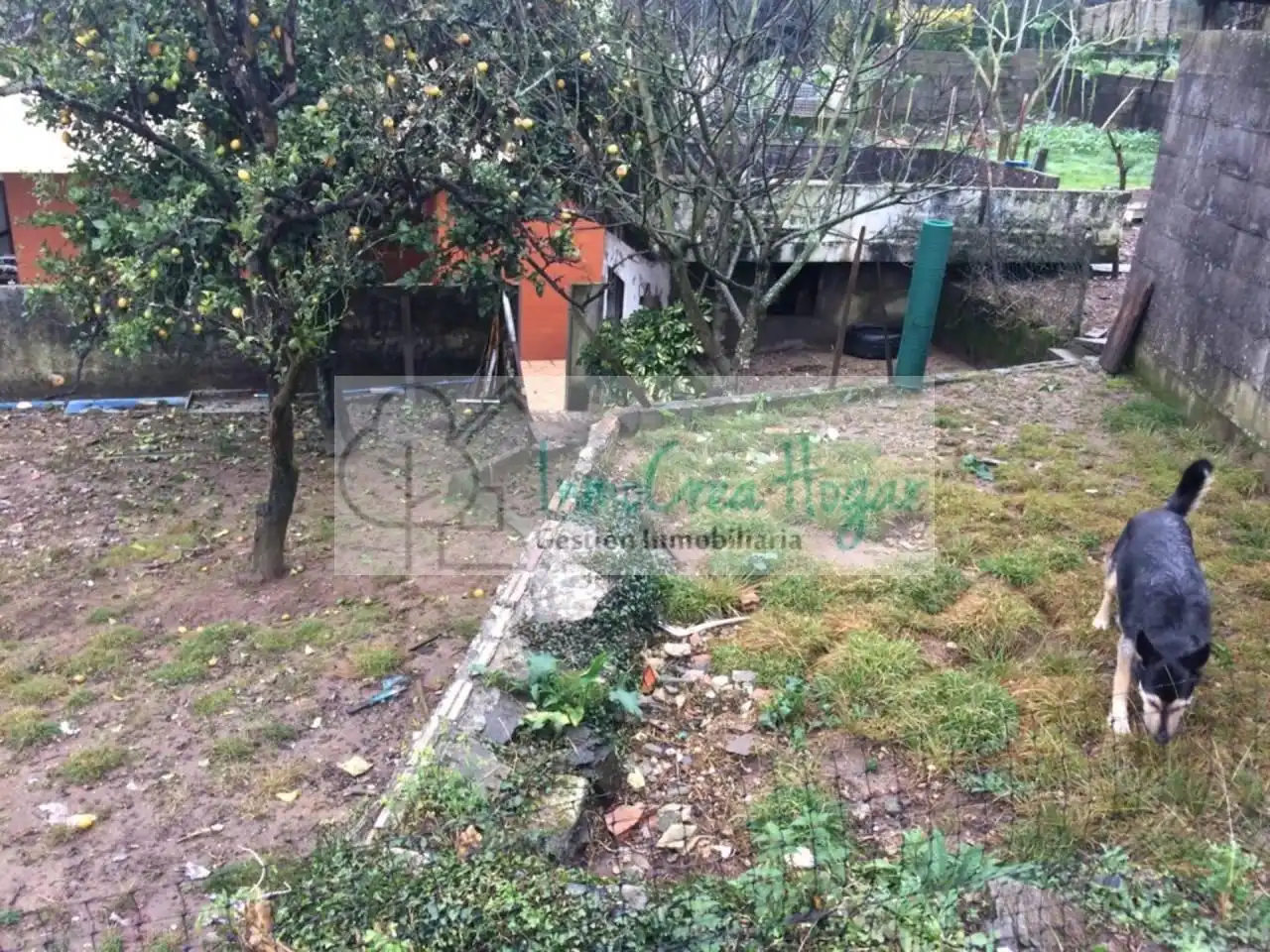 Terreny rústic en venda a Mos, imagen 5