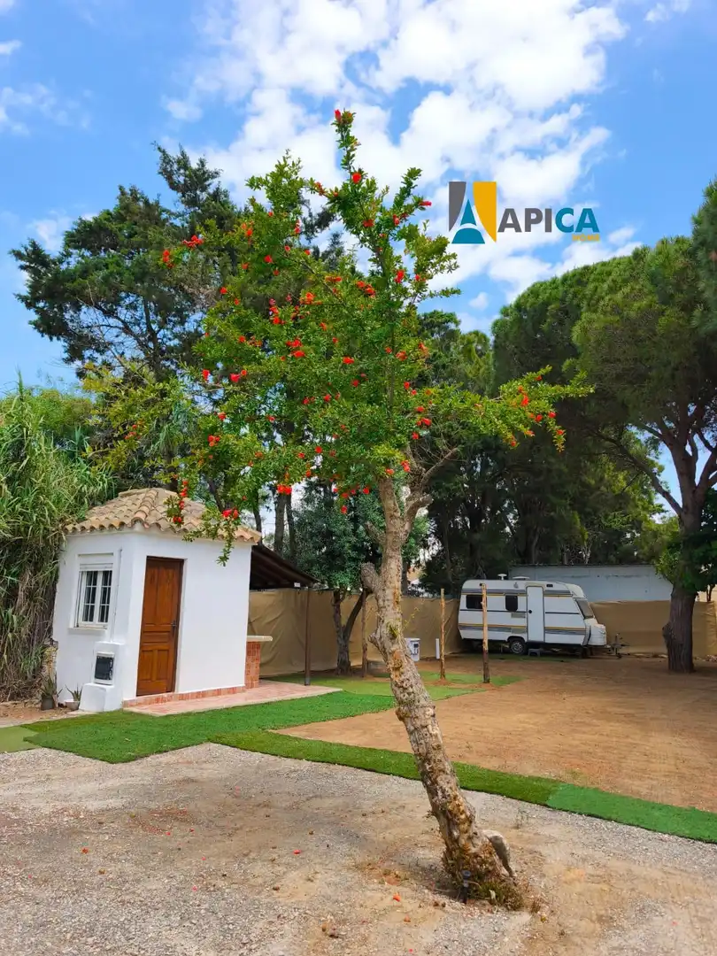 Villa avec piscine à vendre à El Palmar, imagen 22