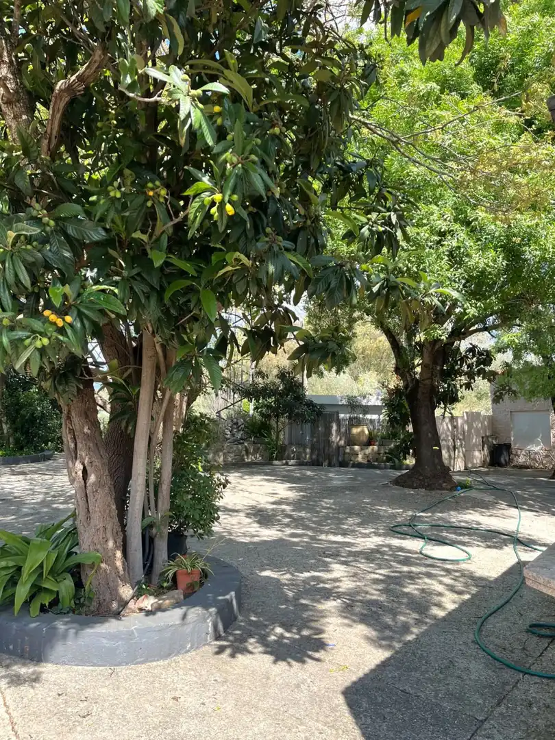 Jardí de Local en venda en Jimena de la Frontera amb Aire condicionat