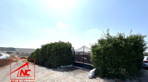 Foto 4 de Finca rústica en venta en Lebrija, Sevilla
