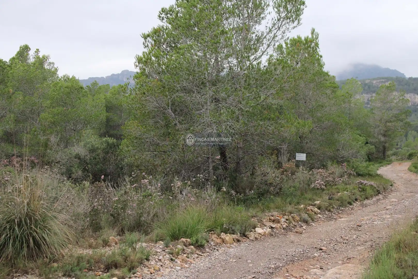 Terrenys i solars en venda a partida torres novas  lindante con el barranco porquerola y a poniente con el termino de pradit  es la parcela  del poligono, imagen 10