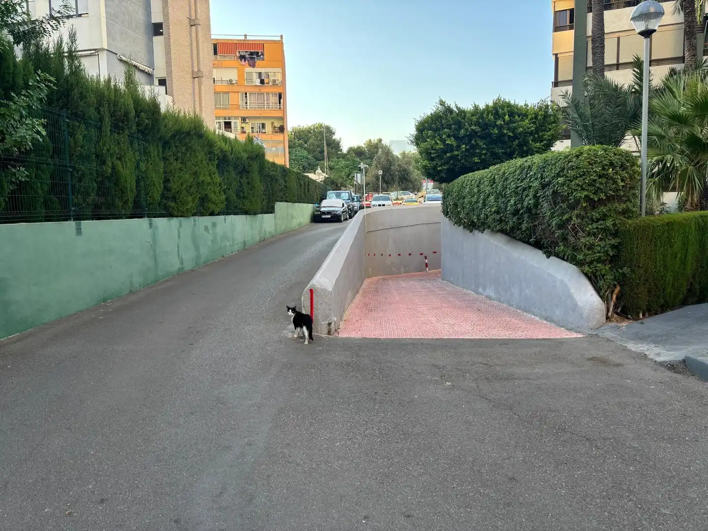 Apartamento con piscina en venta en Levante Alto, imagen 9