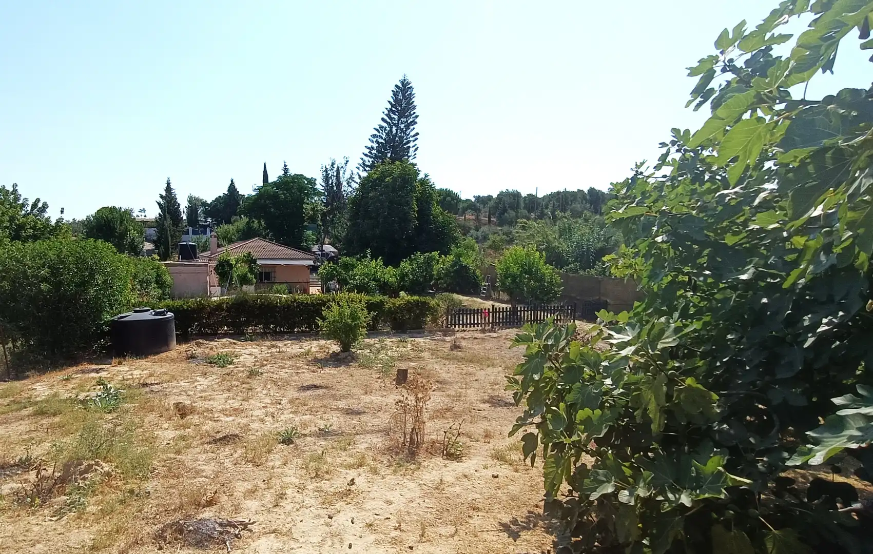 Terreni e lotti in vendita a Sanlúcar la Mayor, imagen 20