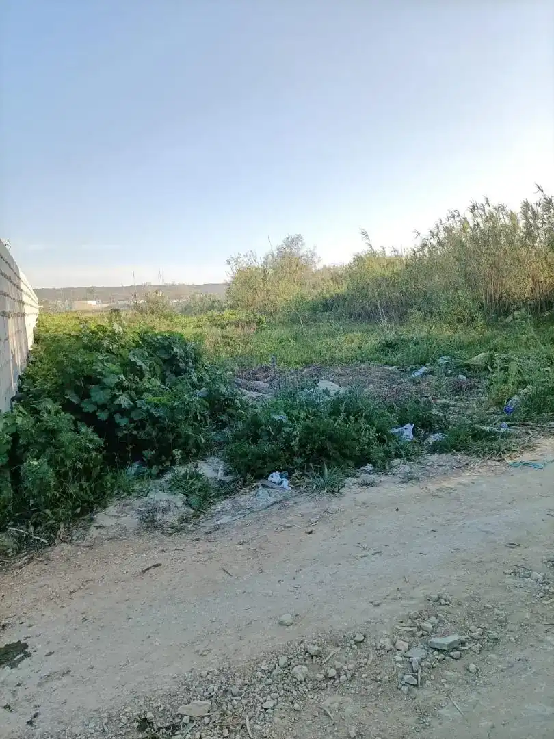 Finca rústica en venda en Barbate