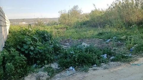 Foto 3 de Finca rústica en venda a Barbate ciudad, Barbate