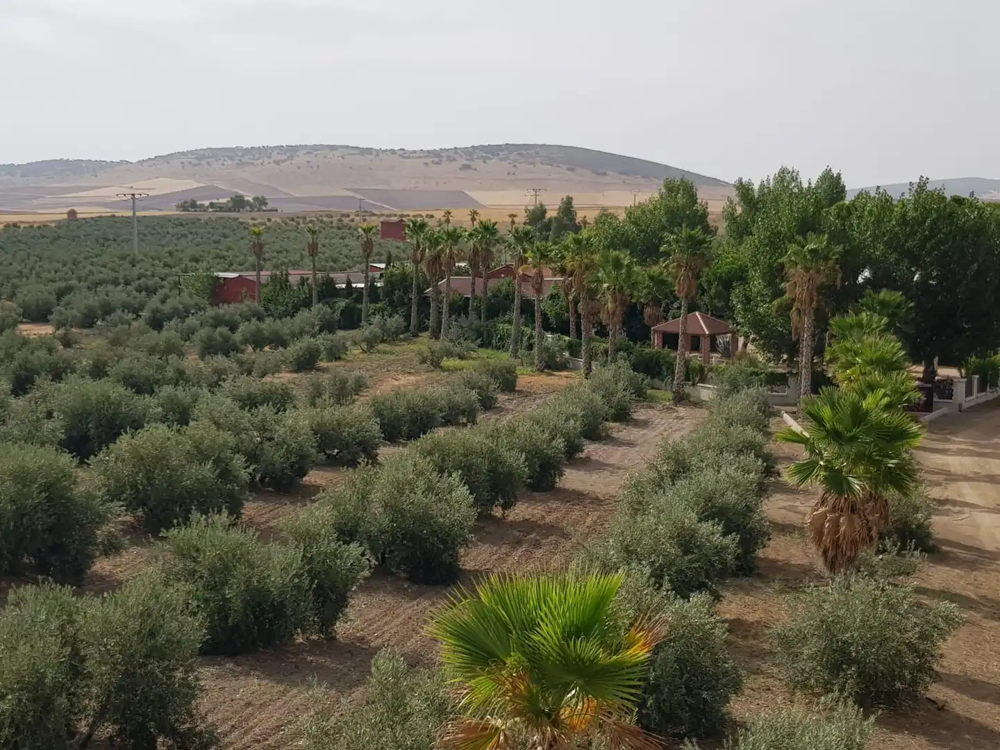 Finca rústica en venta en Santa Cruz de Mudela