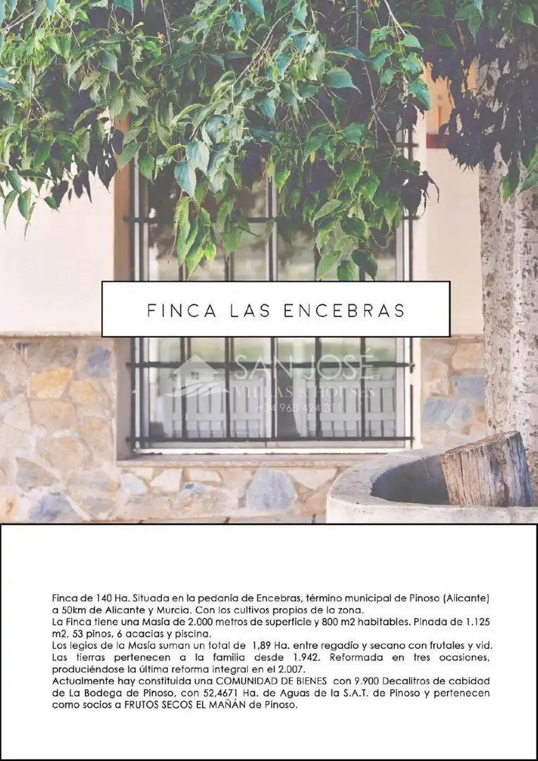 Vista exterior de Finca rústica en venta en El Pinós / Pinoso con Jardín privado, Piscina y Amueblado
