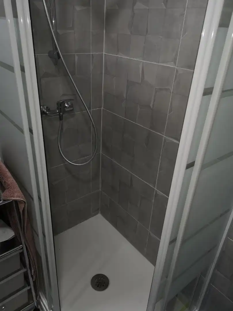 Bathroom of Study for rent in Torremolinos  with Furnished and Pets allowed