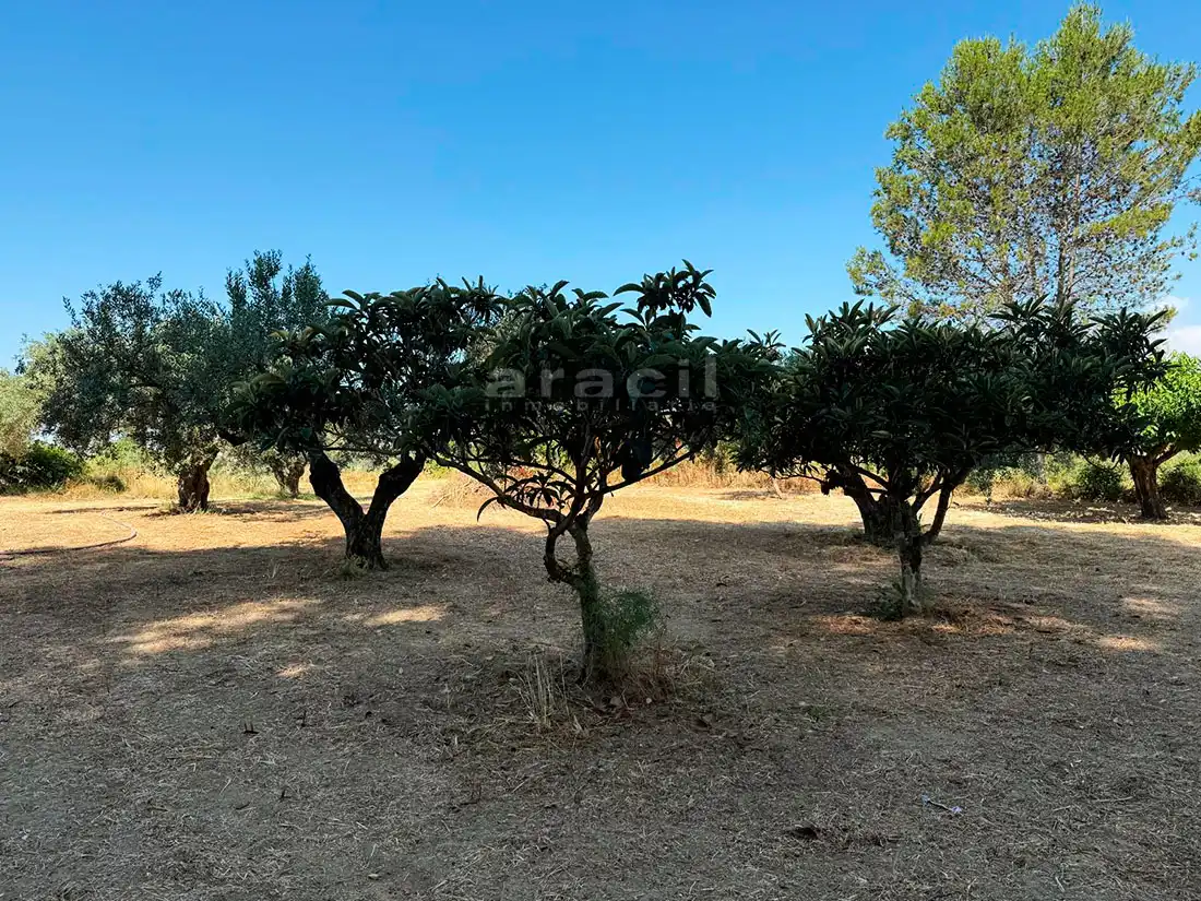 Finca rústica en venta en Bocairent con Piscina
