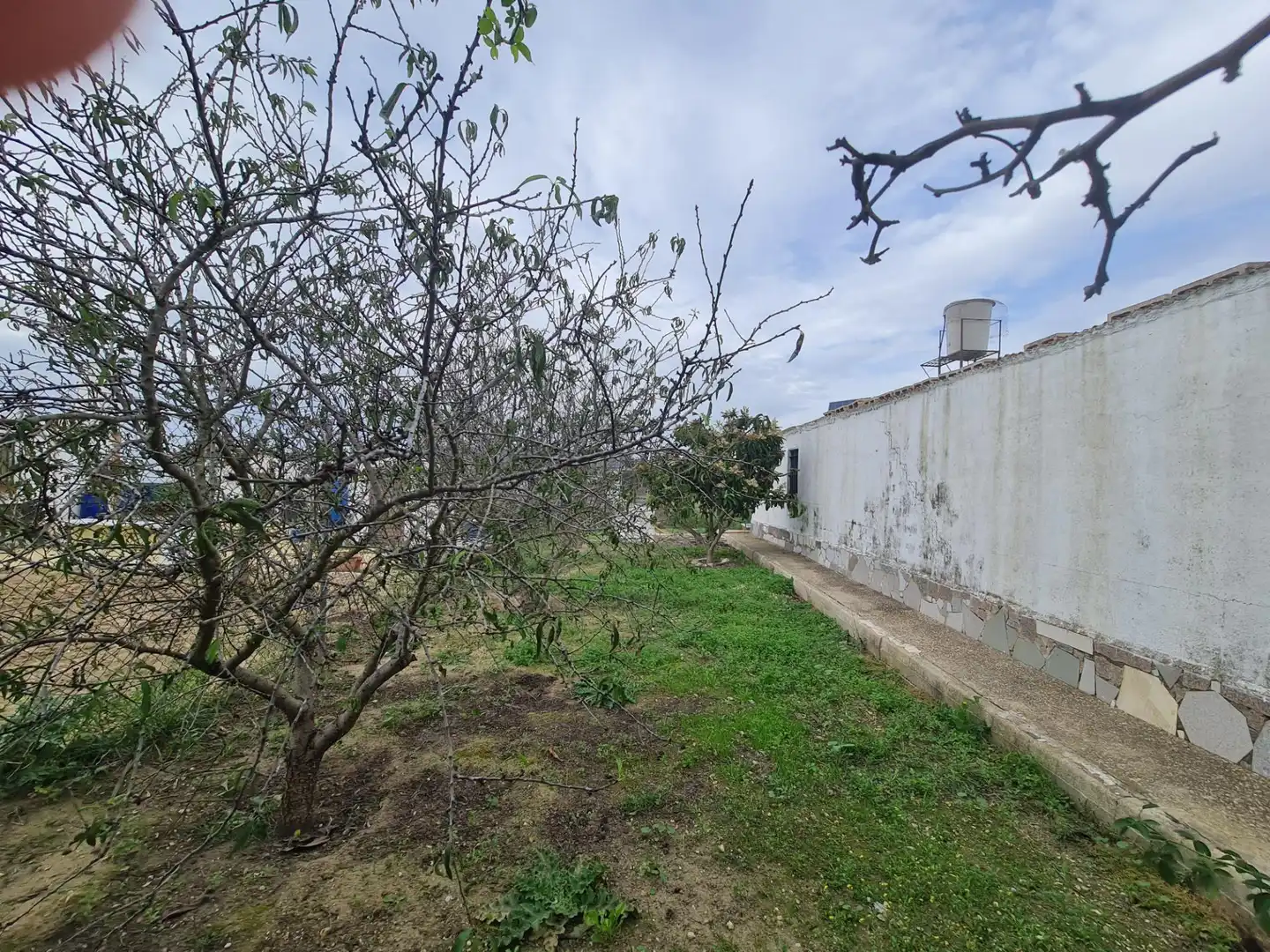 Casa o xalet en venda a Pelagatos - Pago del Humo