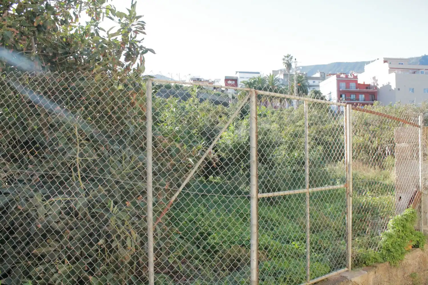 Jardín de Casa o chalet en venta en Los Realejos con Balcón