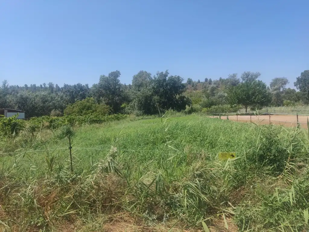 Rural land for sale in Ascó, imagen 11