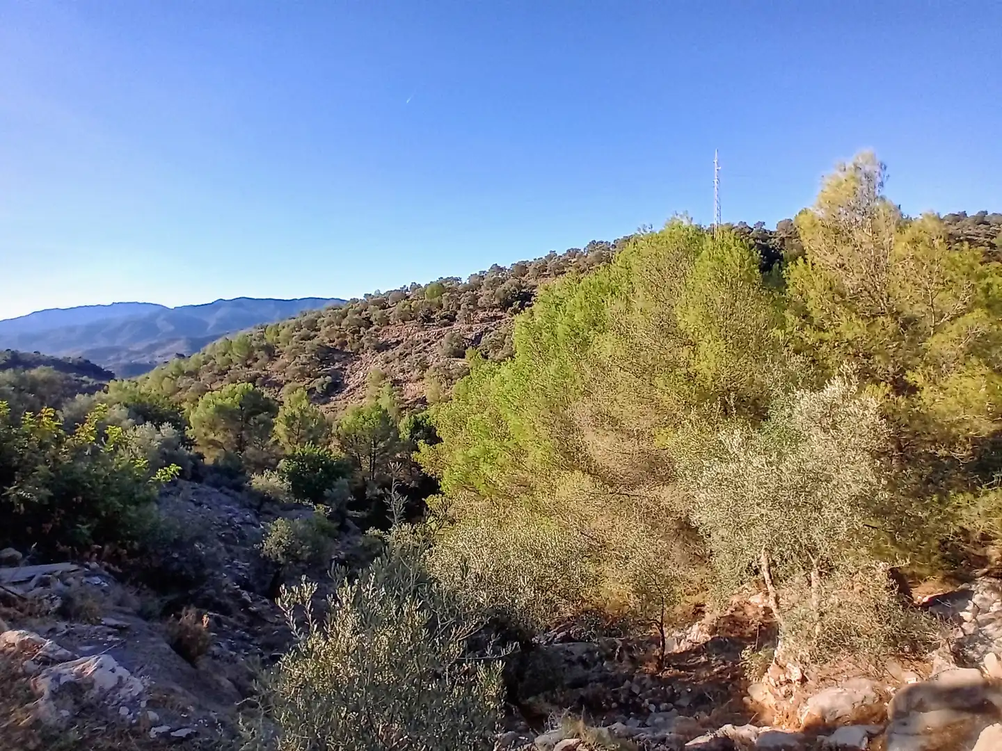 Rural land for sale in Yunquera, imagen 3