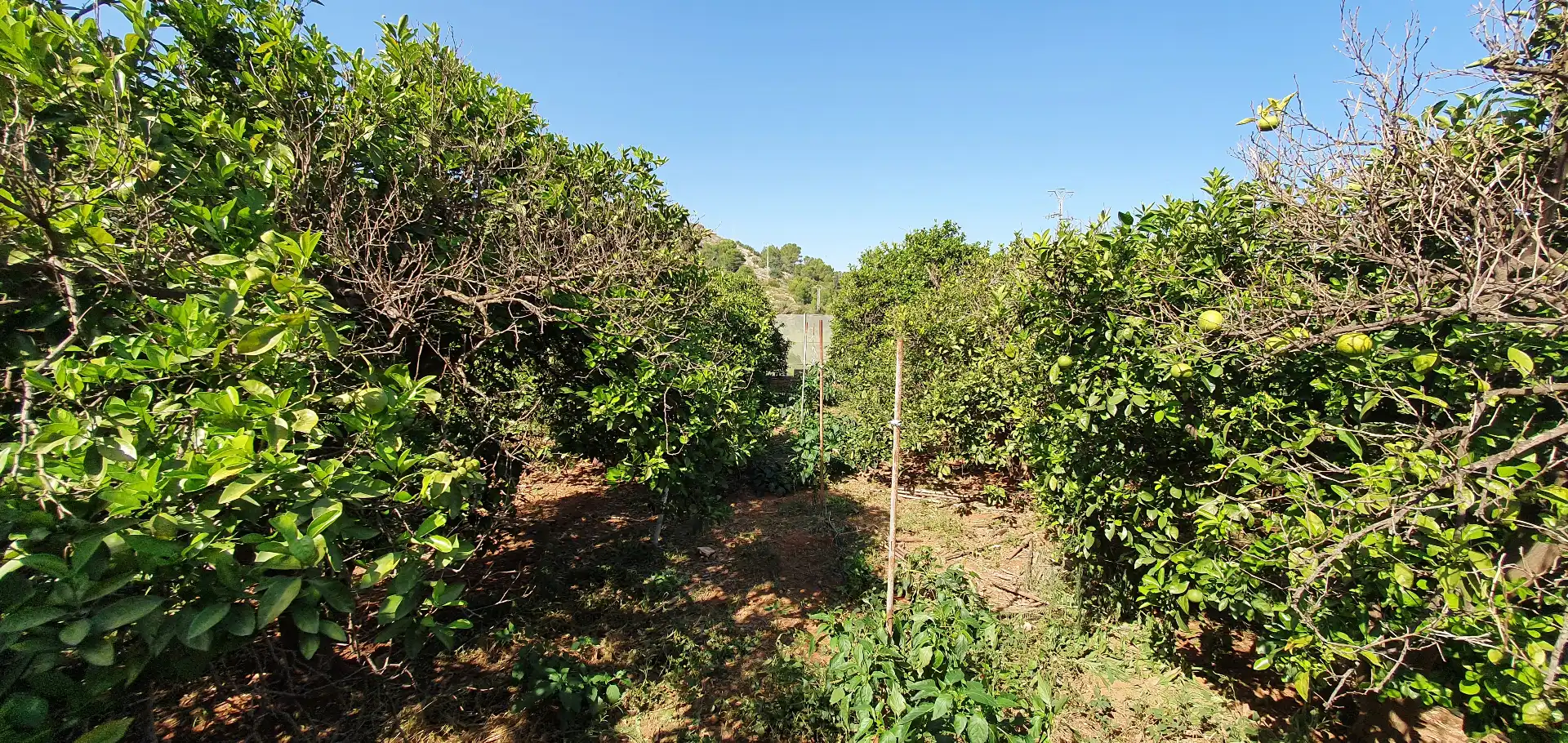 Finca rústica en venda en Tavernes de la Valldigna amb Calefacció, Jardí privat i Terrassa