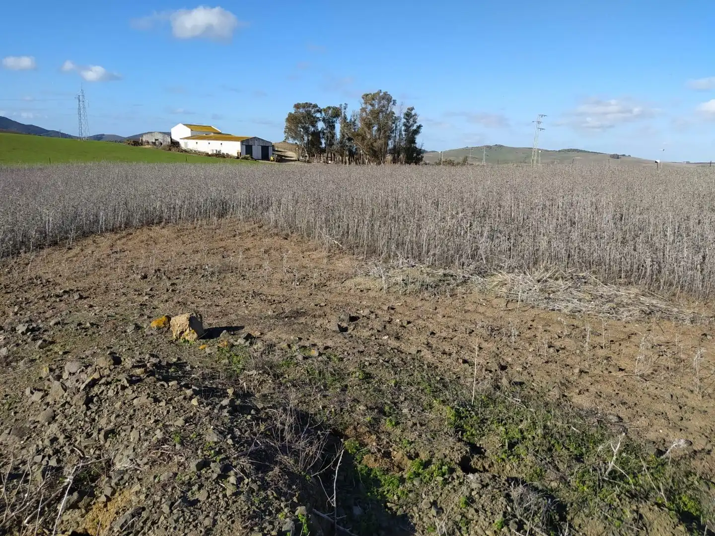 Terreny rústic en venda a Medina Sidonia, imagen 5