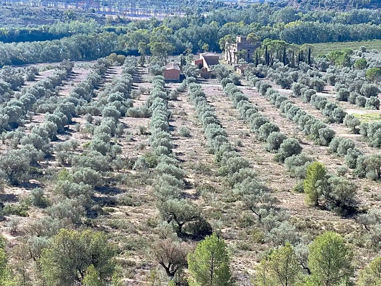 Terrain rustique à vendre à Aixalella, imagen 47