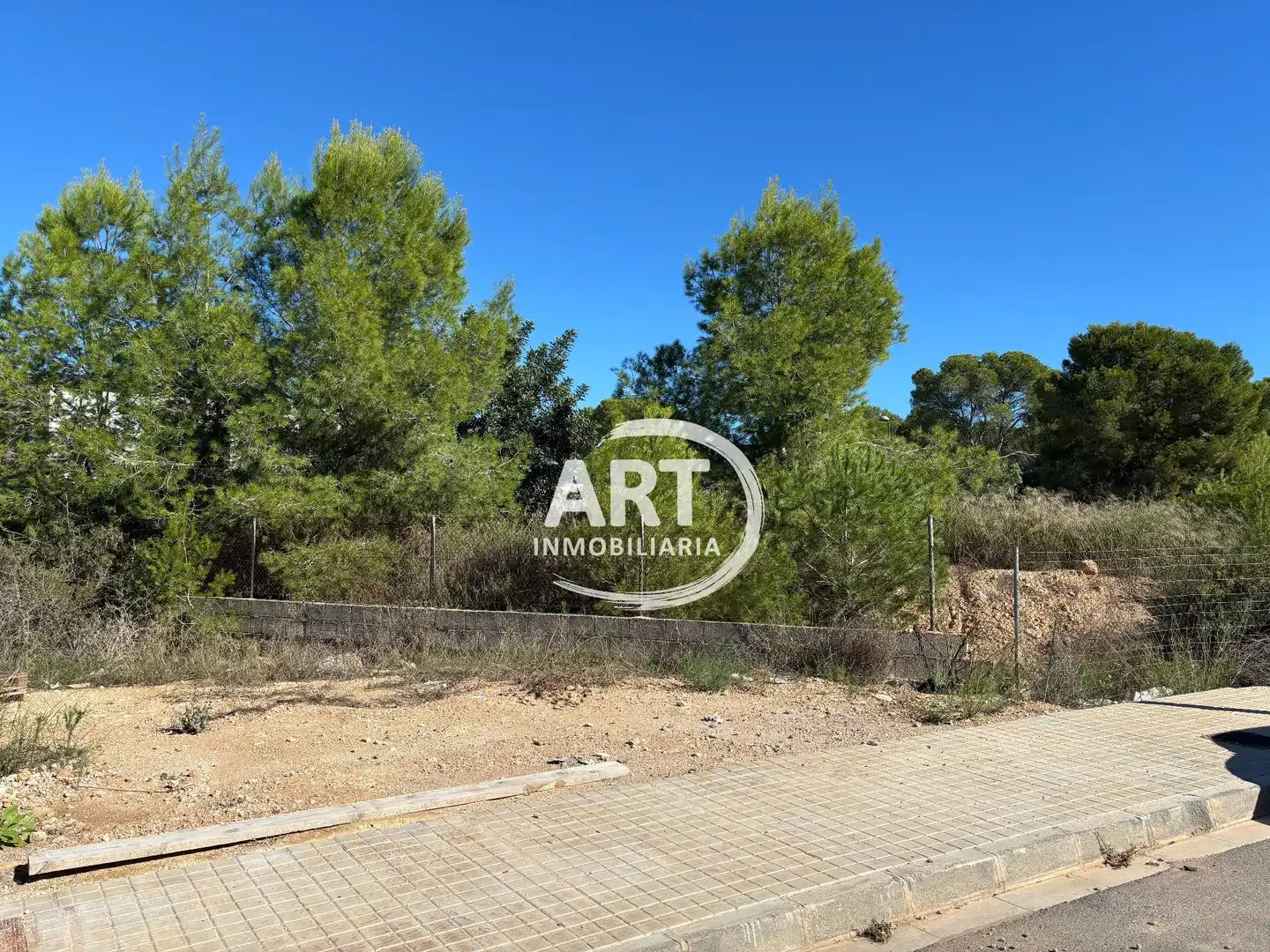 Terrenos y solares en venta en Violetas, imagen 8
