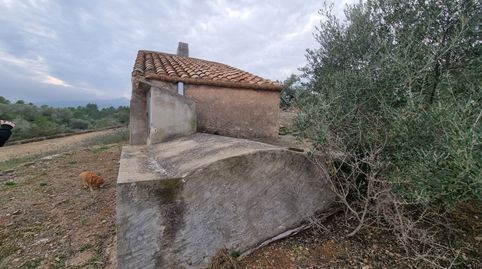 Económica Finca, con antigua caseta de campo de 25 M2 en El Perello, image 3