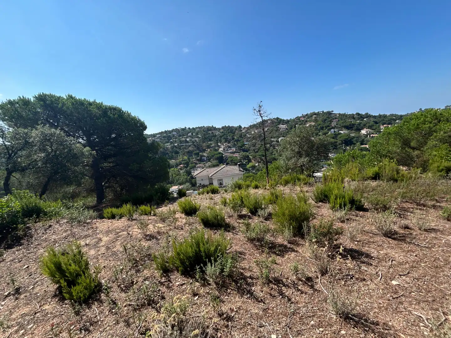 Residential land for sale in Avinguda de la Senyera 27, imagen 8