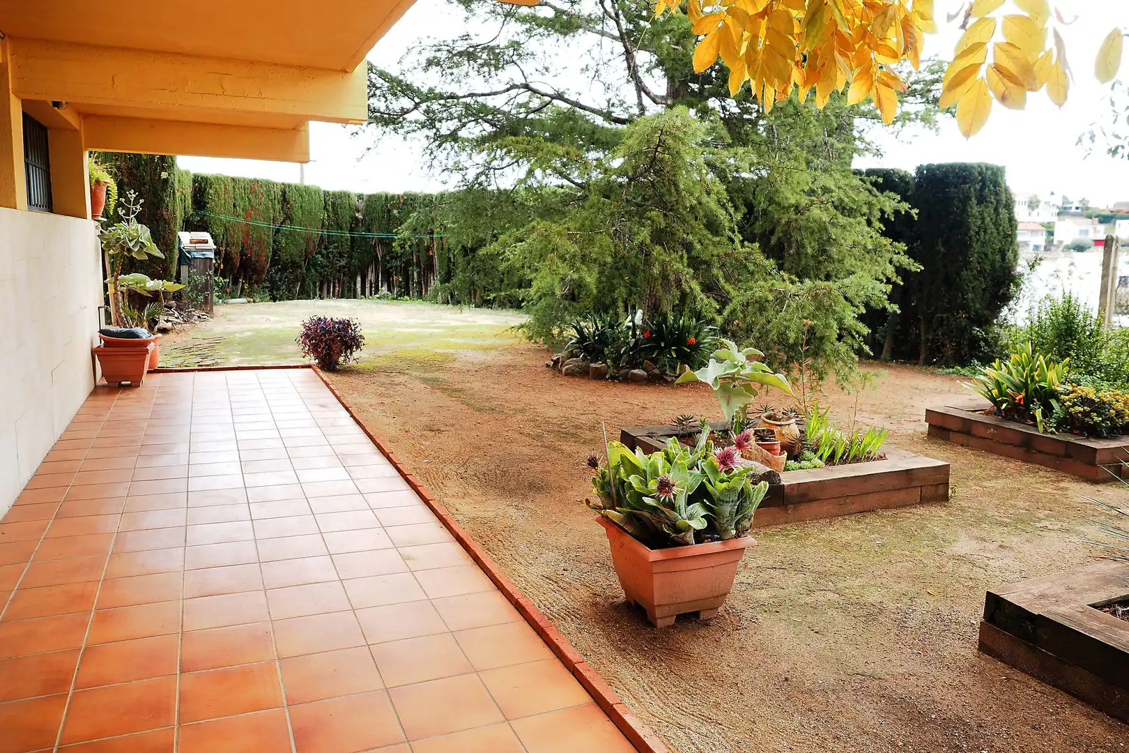 Jardí de Casa o xalet en venda en Canet de Mar amb Jardí privat, Terrassa i Piscina