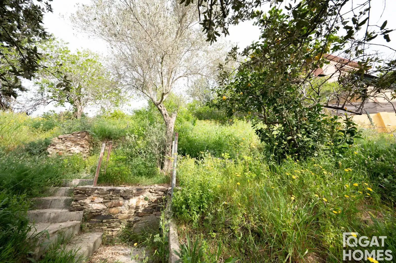 Terreno rustico in vendita a desert, imagen 15