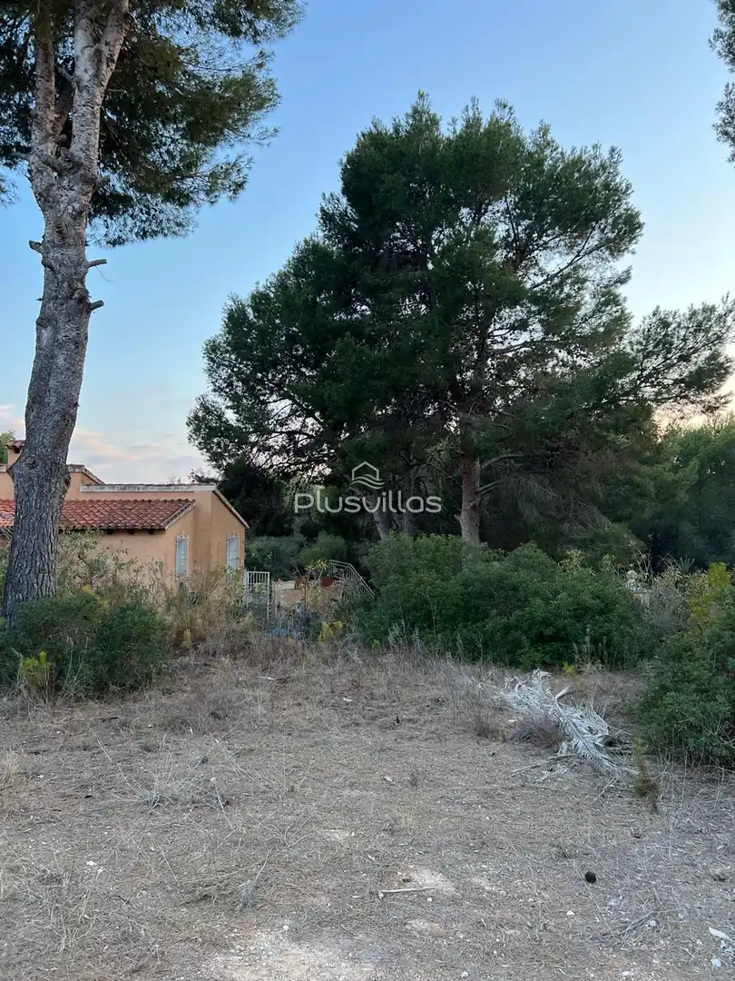 Terrenys i solars en venda a La Viña - Montemar - San Jaime, imagen 3