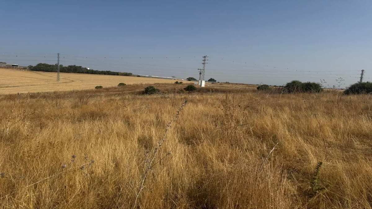 Residencial en venda en Huévar del Aljarafe