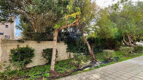 Foto 4 de Residencial en venda a Son Ramonell - Es Figueral, Marratxí