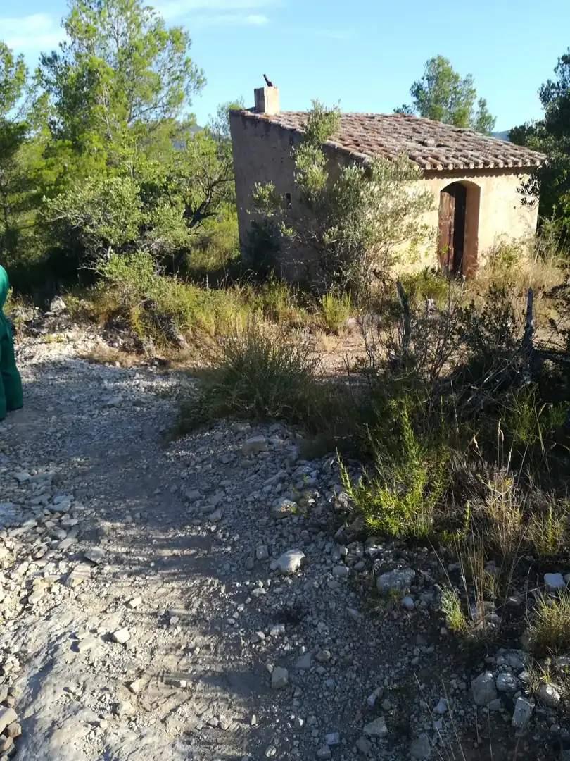 Land for sale in Vilanova d'Escornalbou