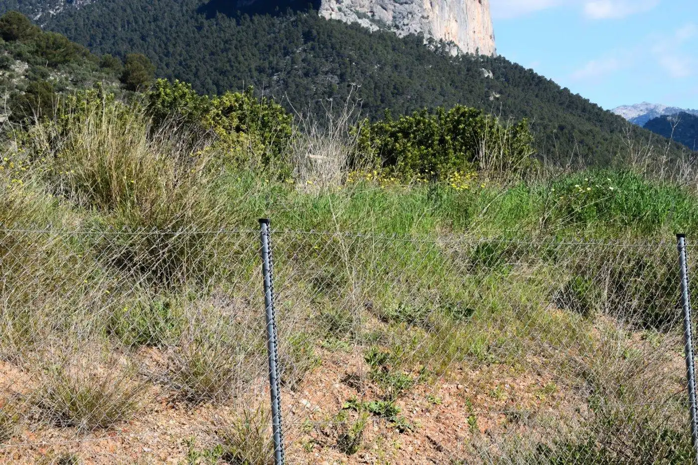 Residencial en venta en Alaró