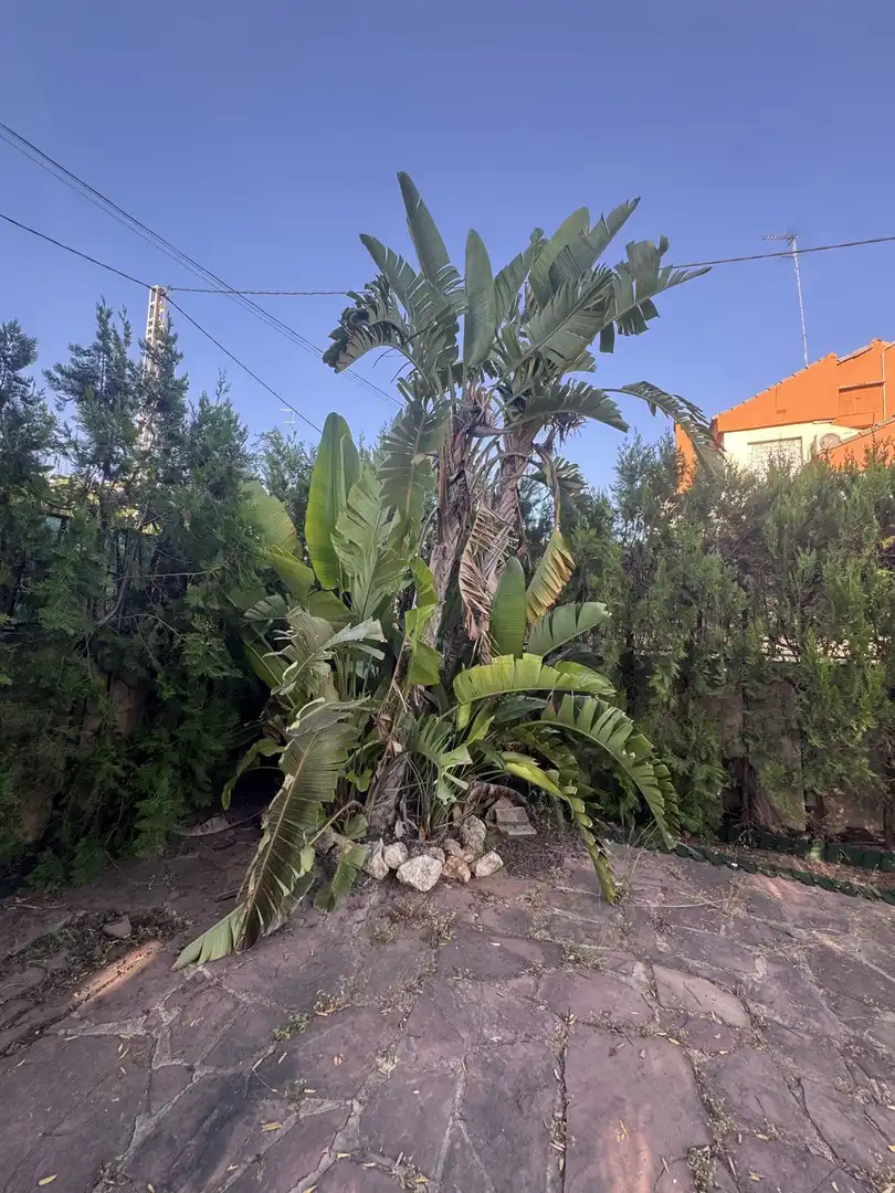 Casa o chalet en venta en Torrent con Terraza, Trastero y Piscina