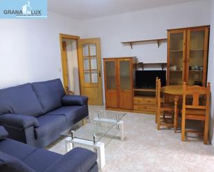 Living room of Flat to rent in  Granada Capital  with Terrace