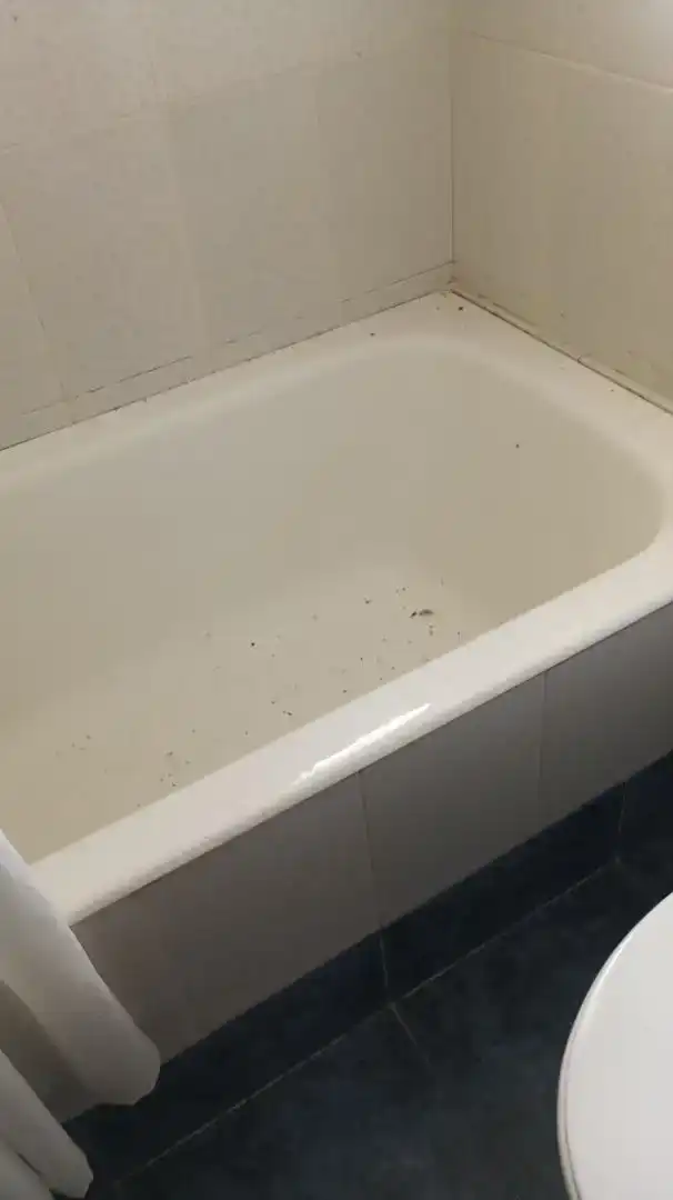 Bany de Casa o xalet en venda en Gatika amb Jardí privat, Traster i Moblat