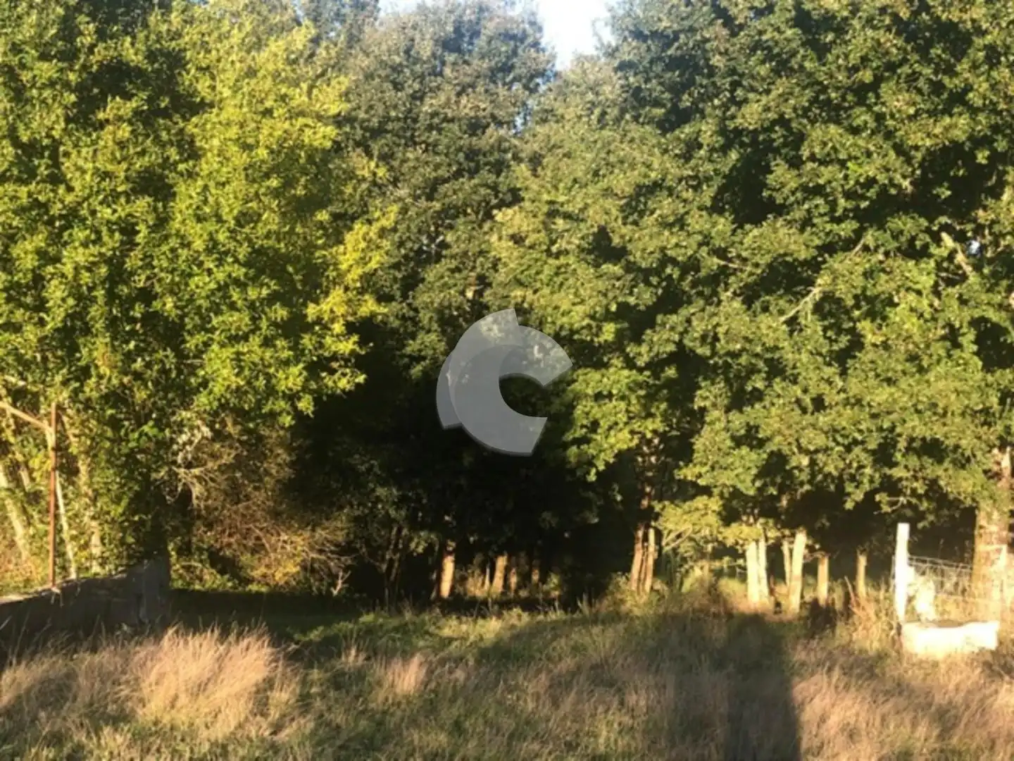 Terreni e lotti in vendita a Nogueira de Ramuín, imagen 26