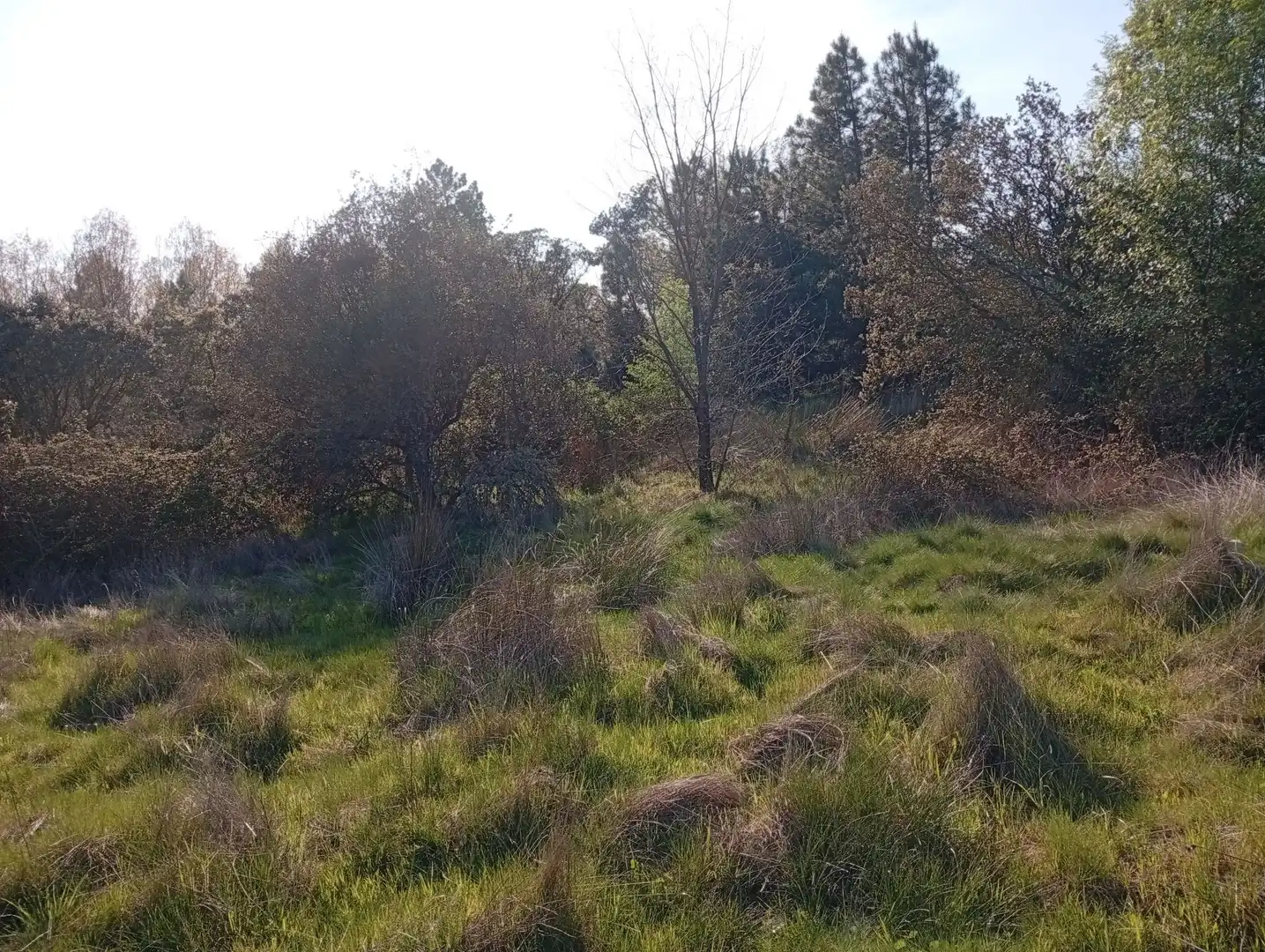 Terreni e lotti in vendita a Villanueva de la Vera, imagen 32