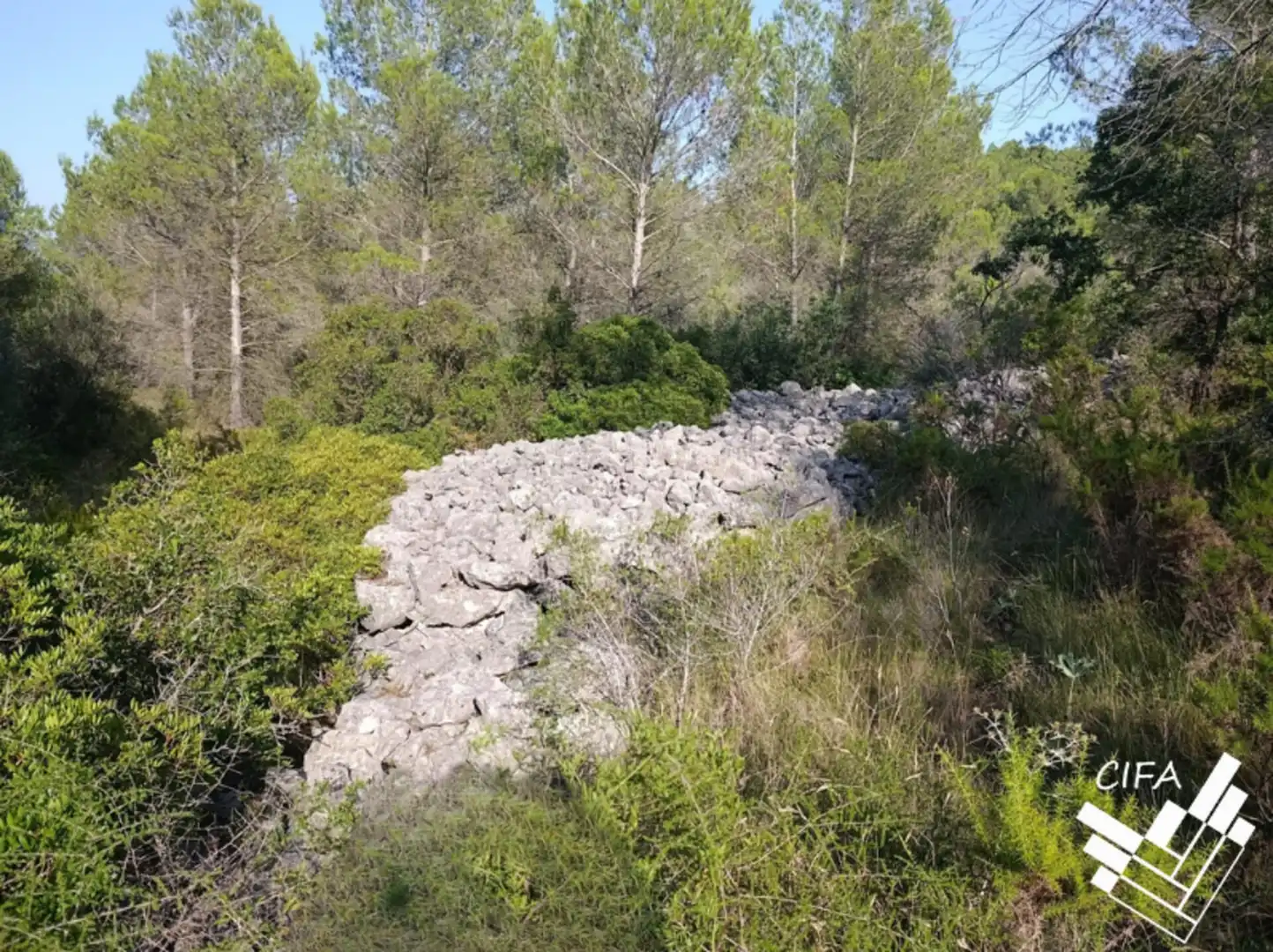 Terreno en venta en Sant Mateu