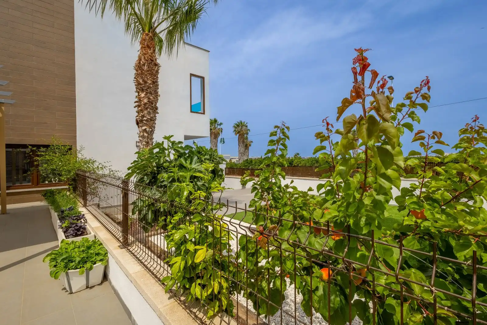 Casa a schiera con piscina in vendita a N/A, imagen 5