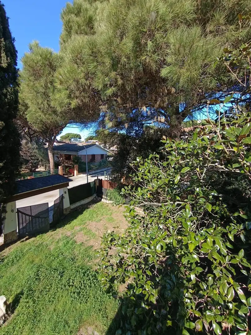 Casa con terraza en venta en Carrer Carrer Montnegre, imagen 8