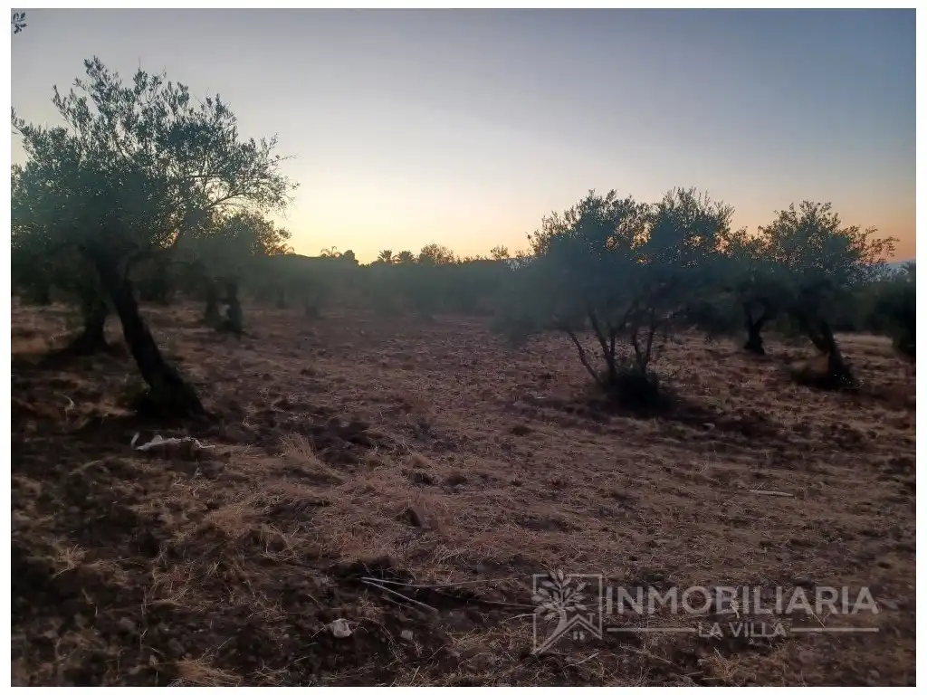 Casa rústica en venda a Poligono 11 Paraje 5 Ardalejo, imagen 2