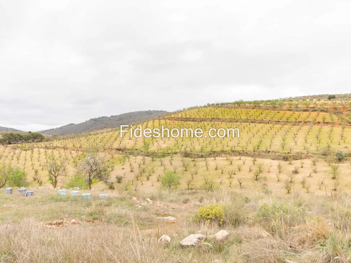Finca rústica en venda en Villamena amb Jardí privat, Piscina i Moblat