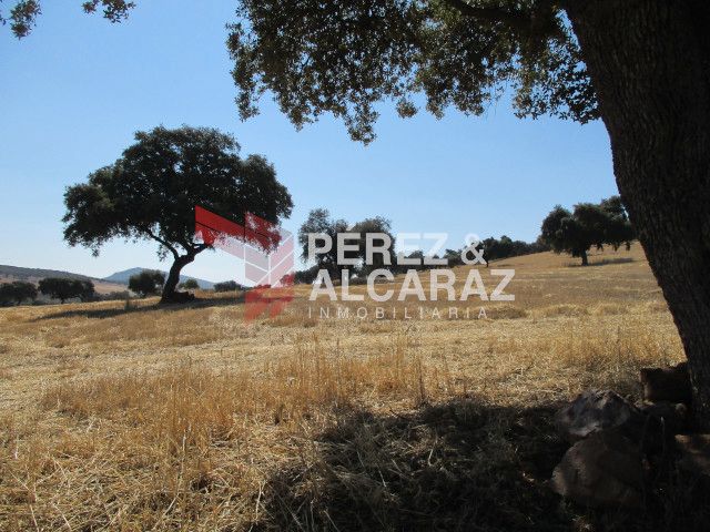 Land for sale in Palma del Río